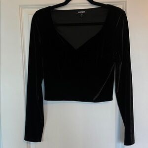 Express Black Velvet Crop Top